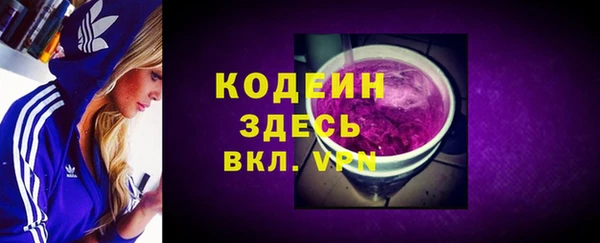 крисы Елабуга