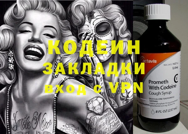 мдпв Елизово